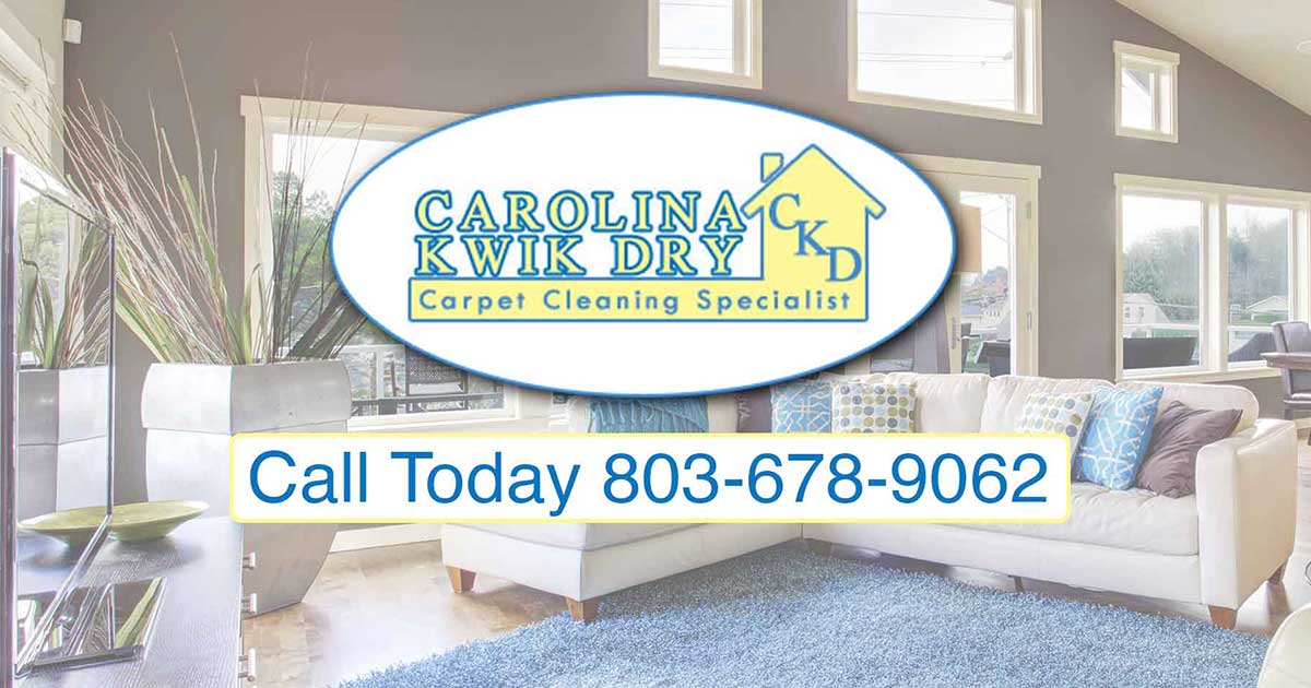 Carolina Kwik Dry logo