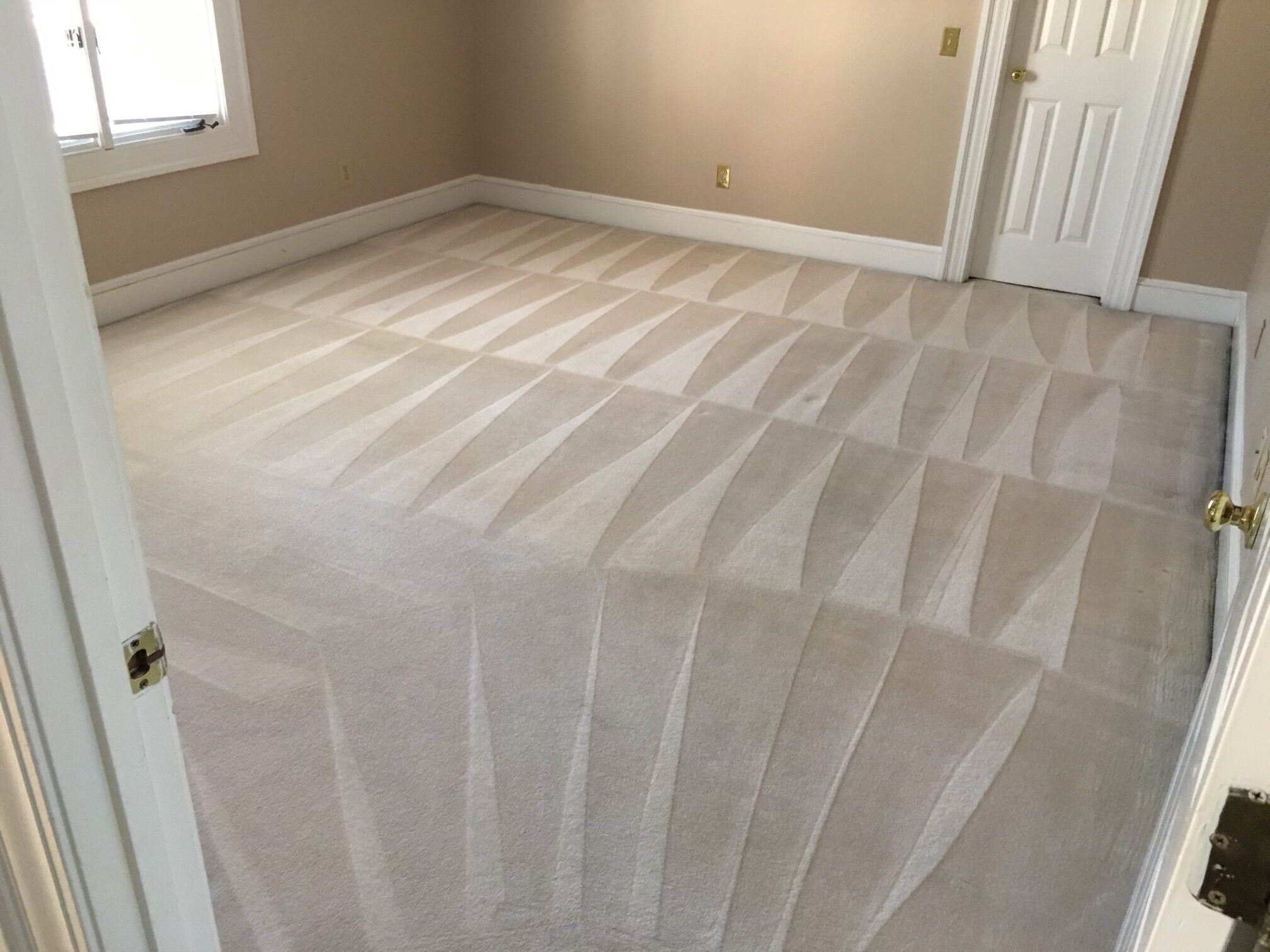 Carpet Cleaning Results